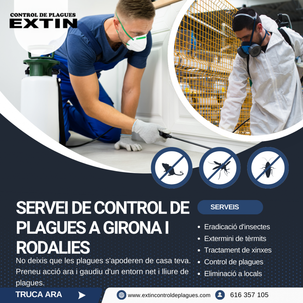 Com evitar les plagues de la gespa a Girona?