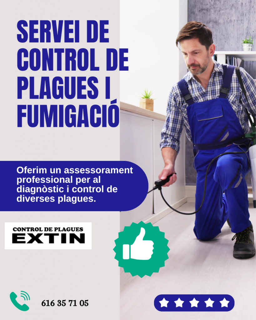 Control de plagues per a oficines a Girona